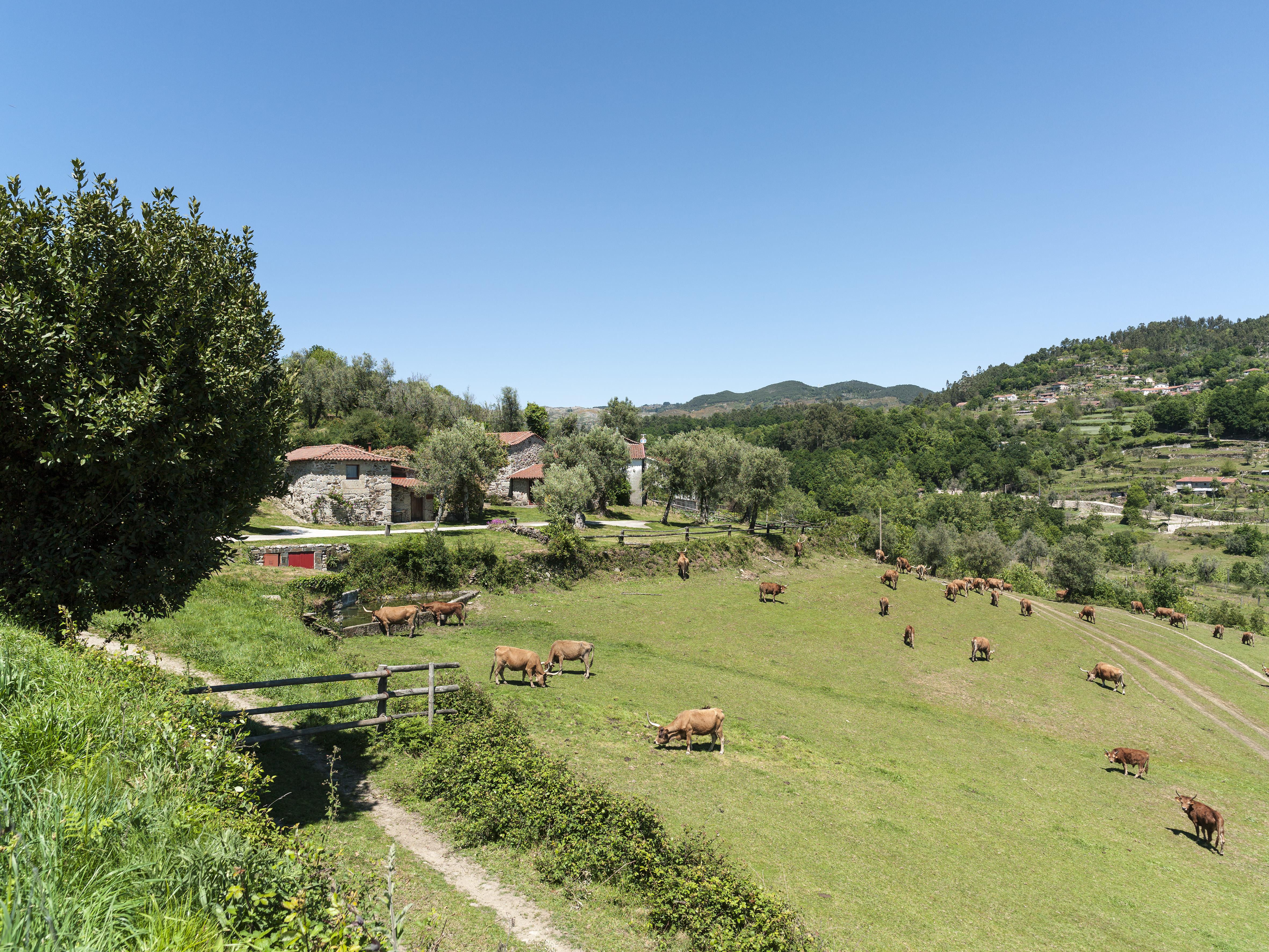 Quinta Do Rapozinho Villa Cabeceiras de Basto Exterior foto
