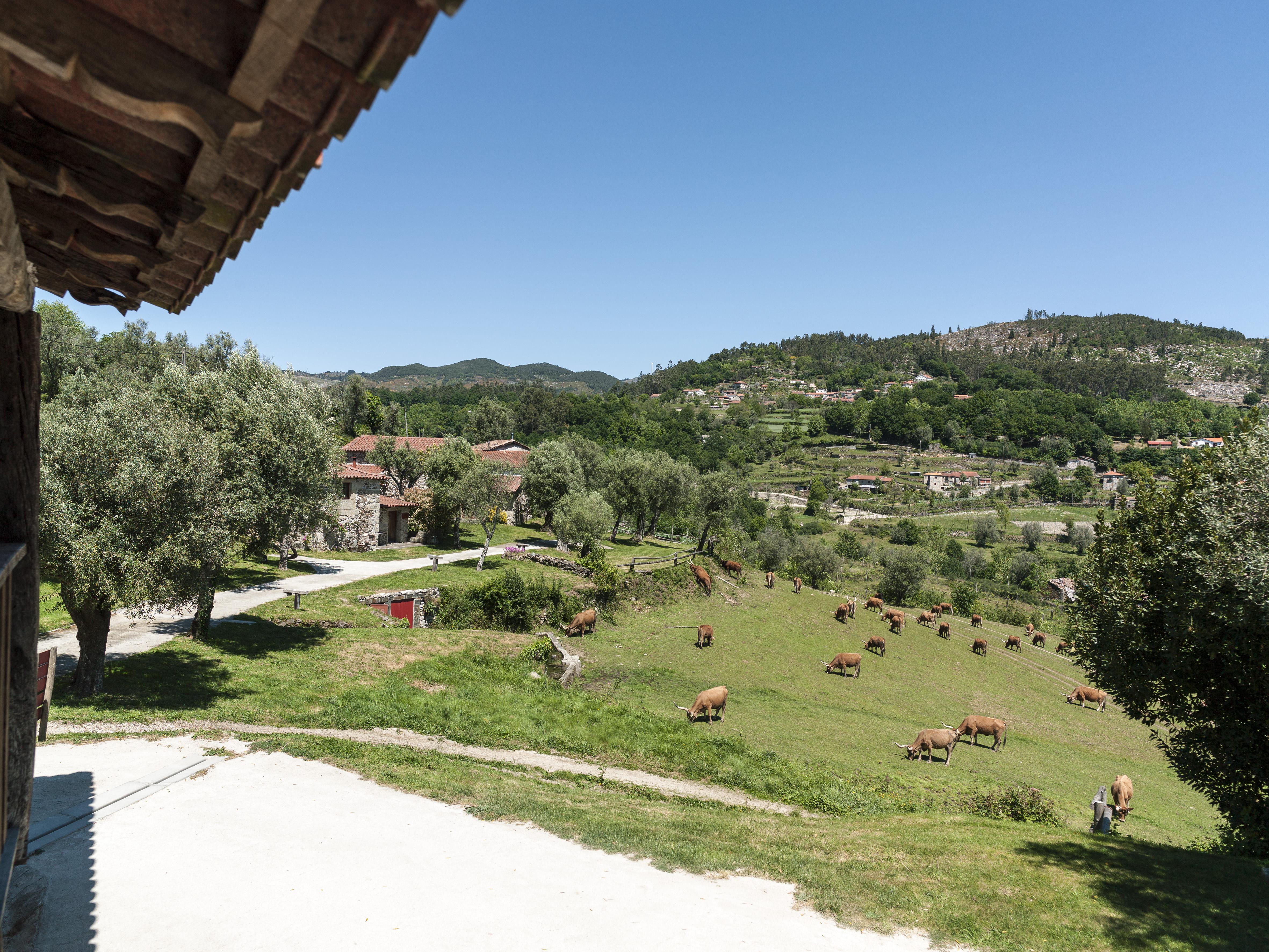 Quinta Do Rapozinho Villa Cabeceiras de Basto Exterior foto